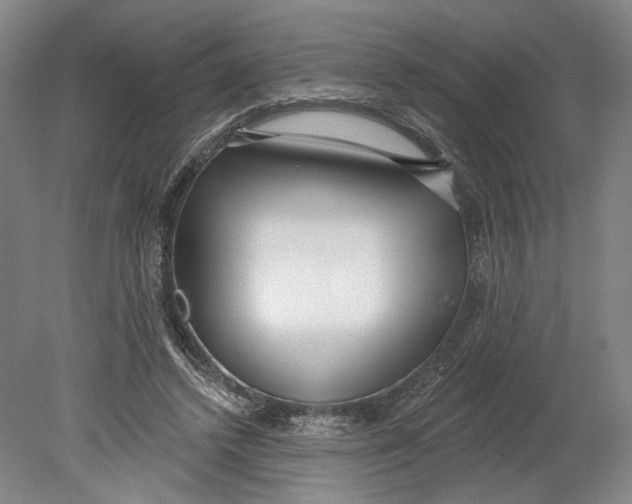 X0000080770448200701051306