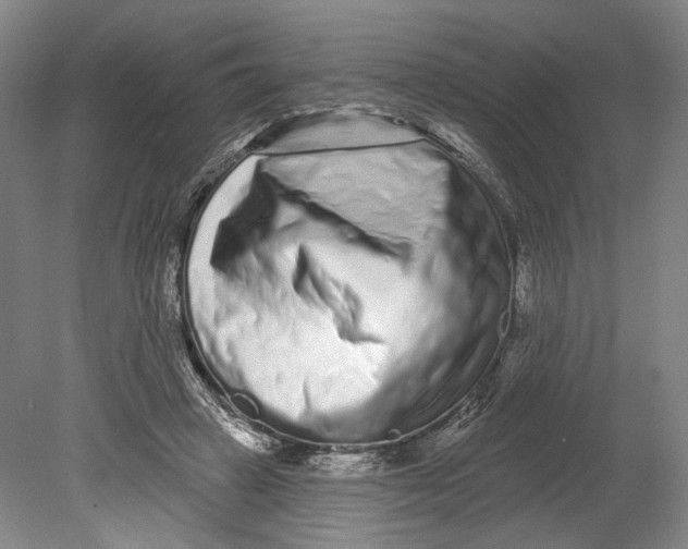 X0000080770449200701051306