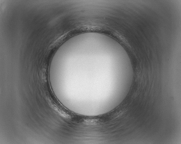 X0000080770450200701051306