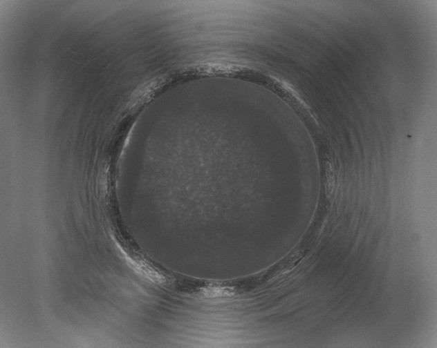 X0000080770451200701051306