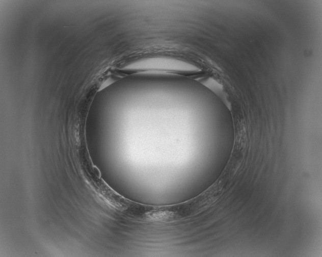 X0000080770452200701051306