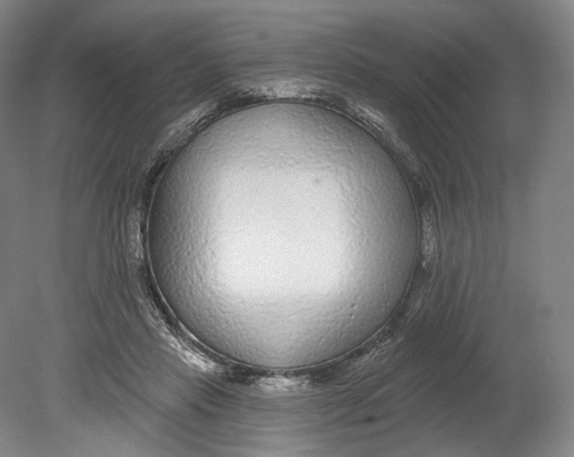 X0000080770453200701051306