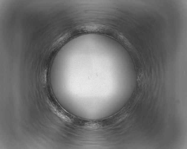 X0000080770454200701051306