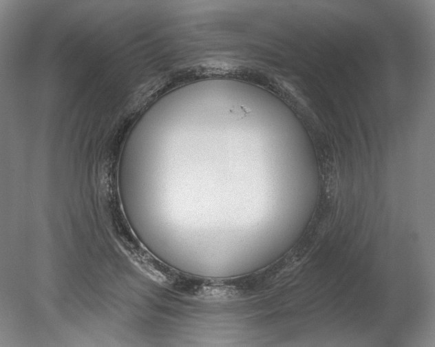 X0000080770455200701051306