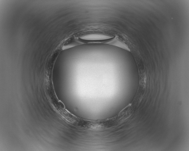 X0000080770456200701051306