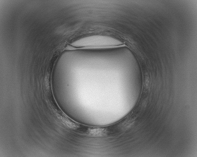 X0000080770461200701051306