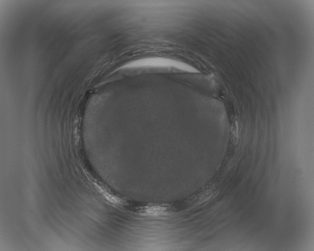 X0000080770462200701051306