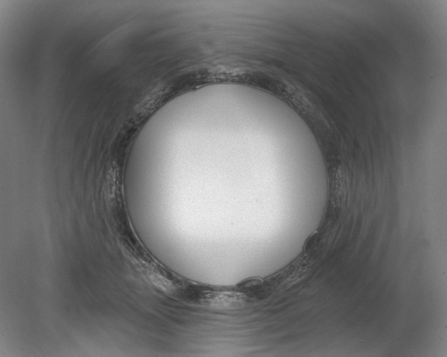 X0000080770463200701051306