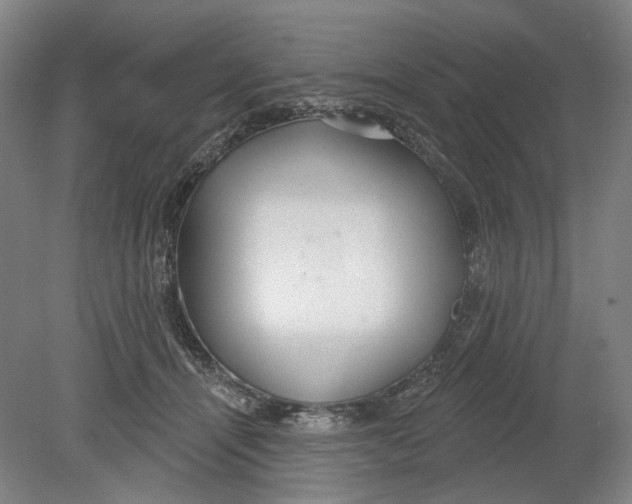 X0000080770464200701051306