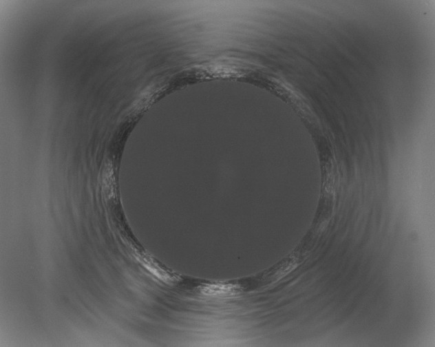 X0000080770465200701051306