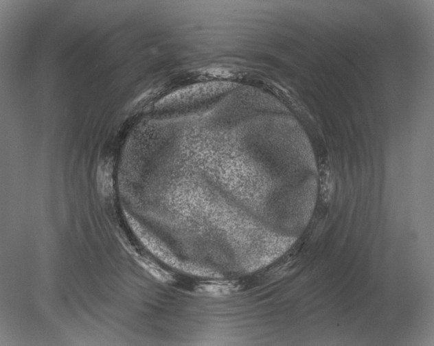 X0000080770466200701051306