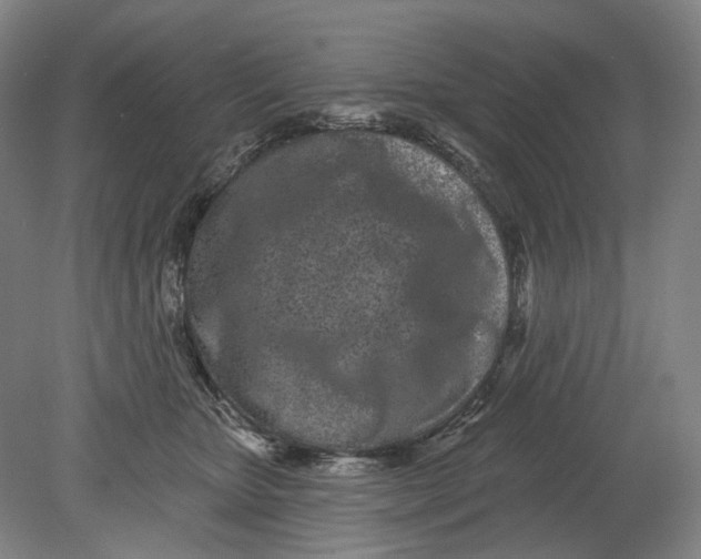 X0000080770467200701051306