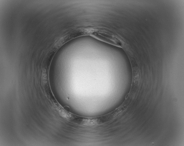 X0000080770469200701051306