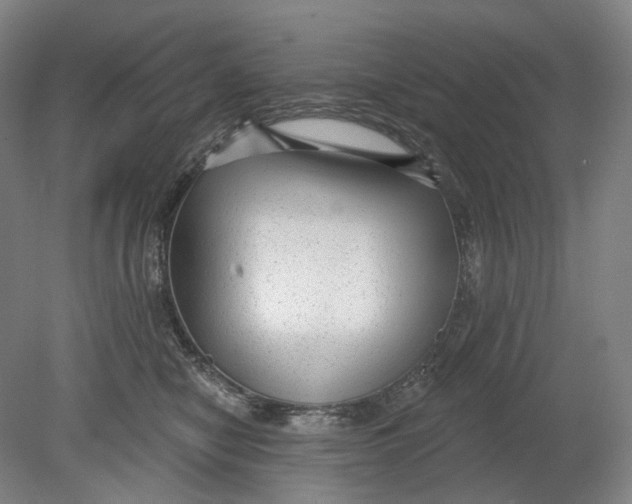 X0000080770470200701051306