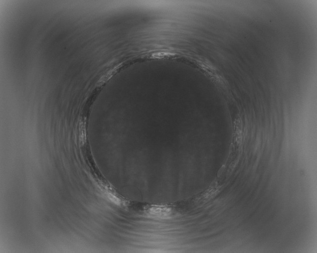 X0000080770471200701051306