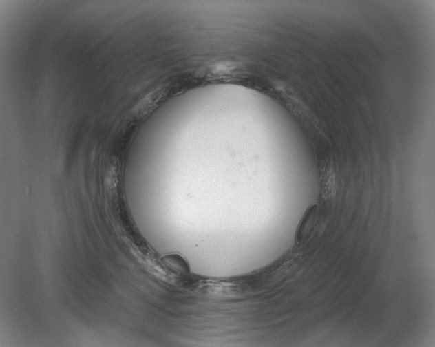 X0000080770472200701051306