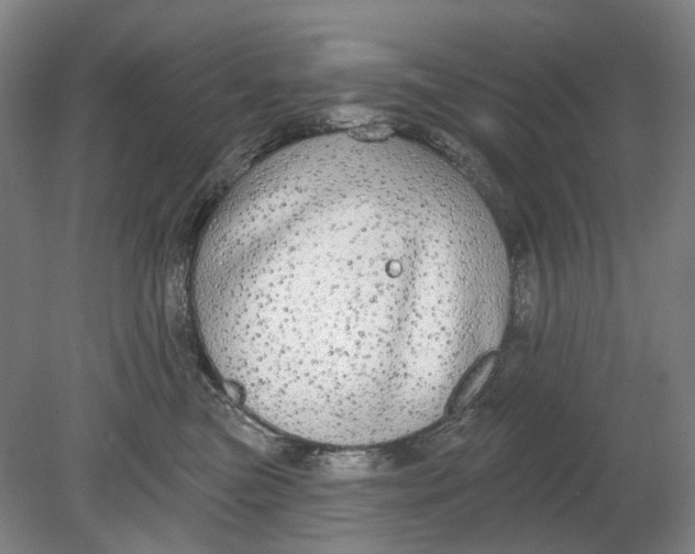 X0000080770473200701051306