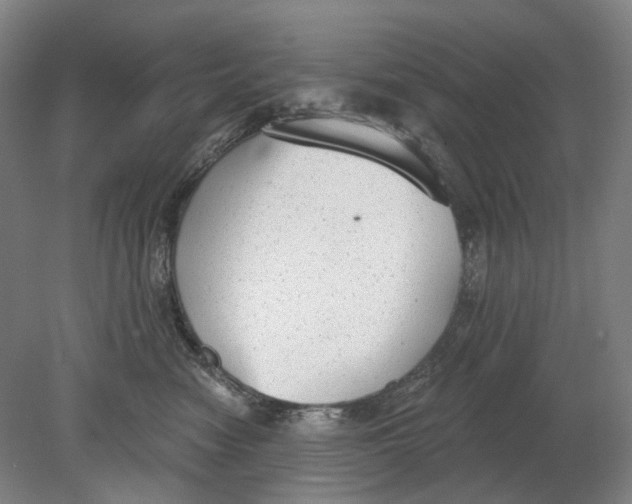 X0000080770474200701051306