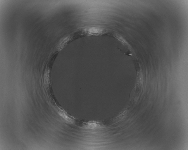 X0000080770475200701051306