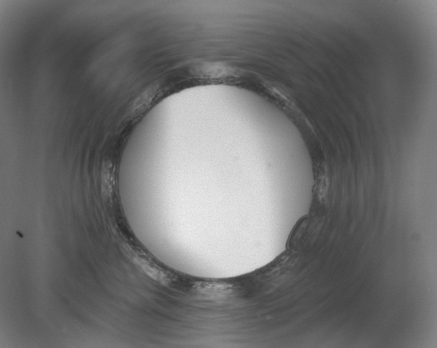 X0000080770476200701051306