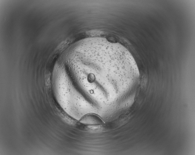 X0000080770477200701051306