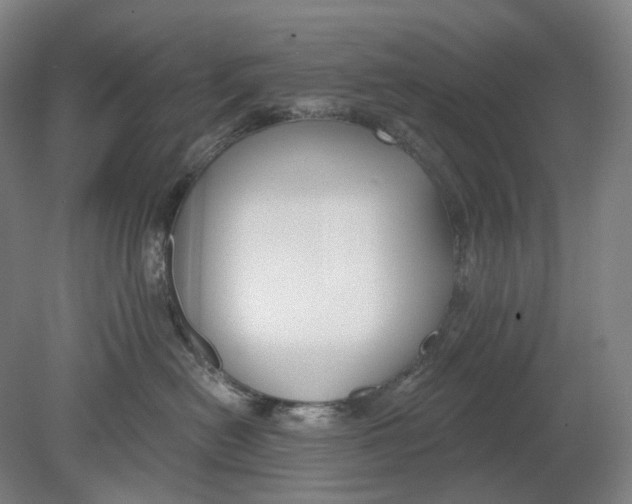 X0000080770478200701051306