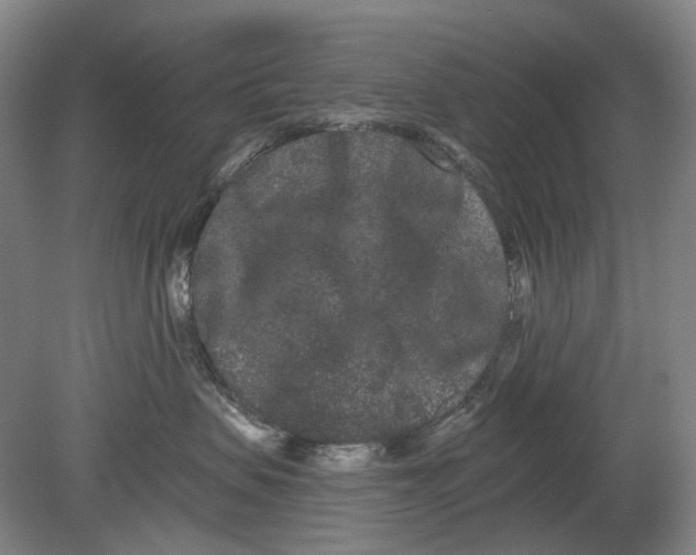 X0000080770479200701051306