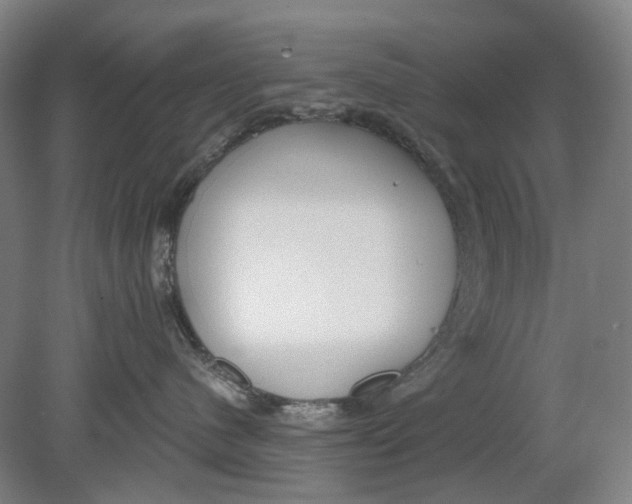 X0000080770480200701051306