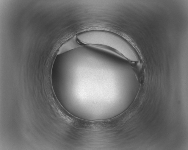 X0000080770481200701051306