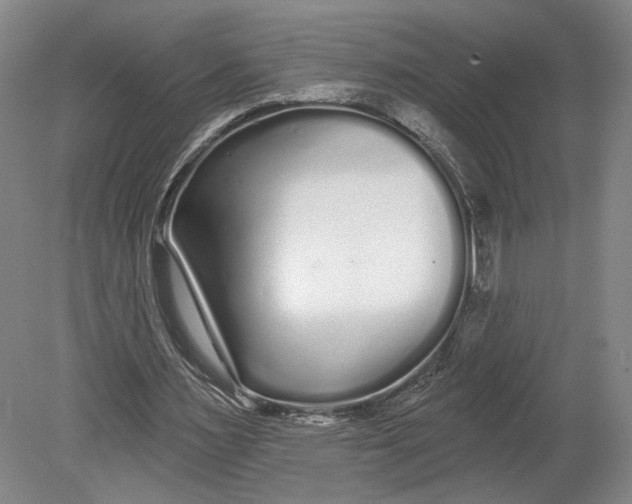 X0000080770483200701051306