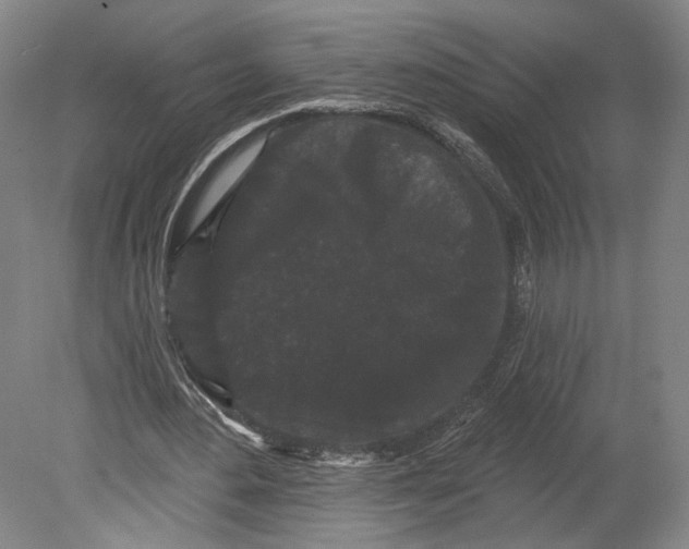 X0000080770484200701051306