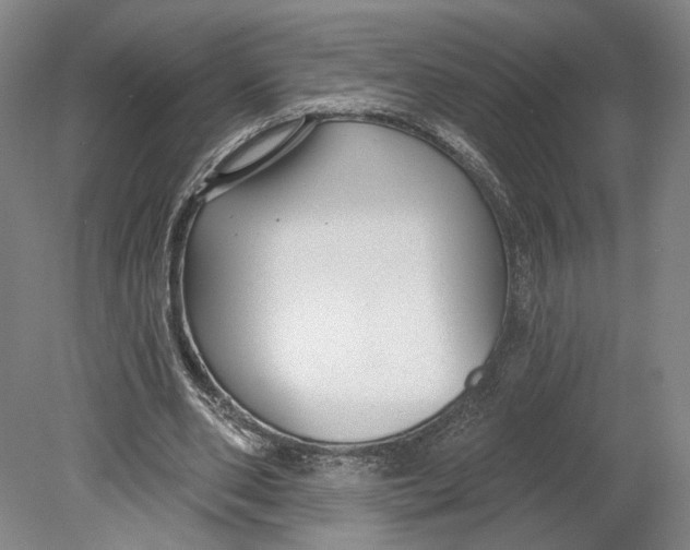 X0000080770486200701051306