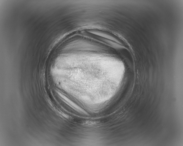 X0000080770487200701051306