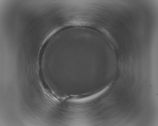 X0000080770488200701051306