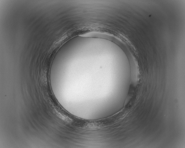 X0000080770489200701051306