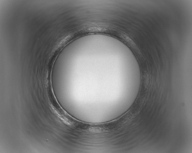 X0000080770490200701051305