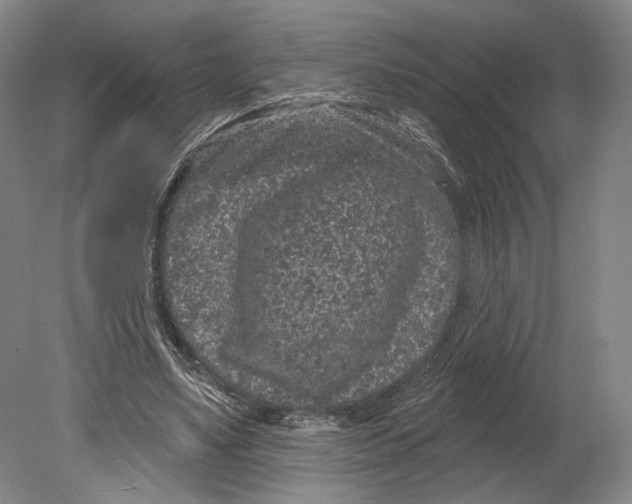 X0000080770491200701051305