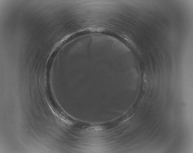 X0000080770492200701051305