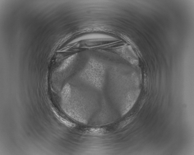 X0000080770493200701051305