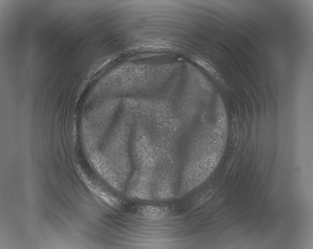 X0000080770494200701051305