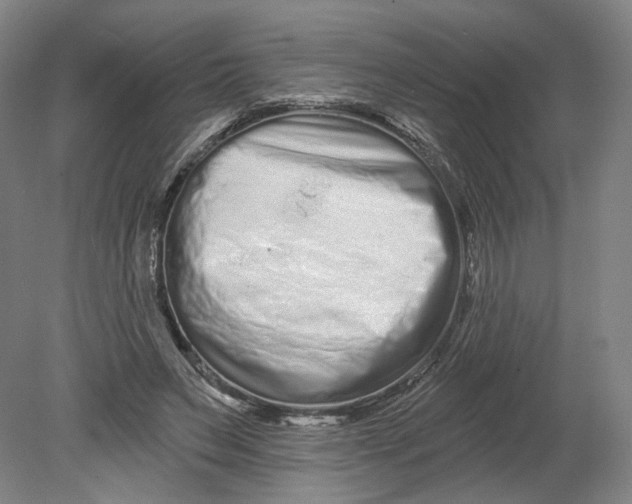 X0000080770495200701051305