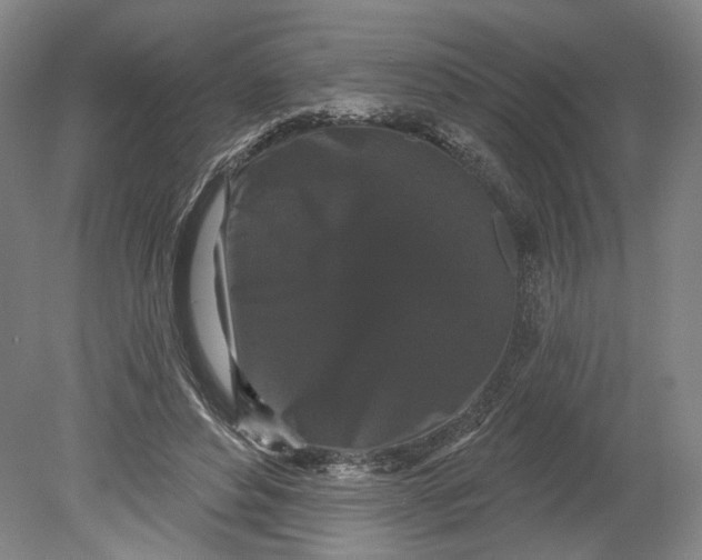 X0000080770496200701051305