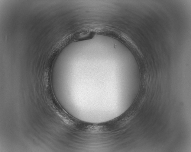 X0000080770497200701051305