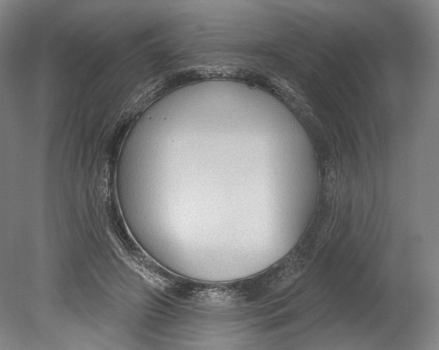 X0000080770498200701051305