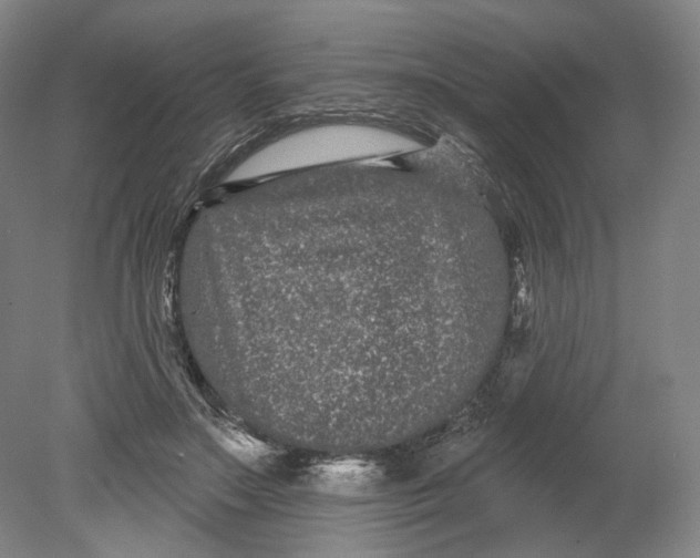 X0000080770499200701051305