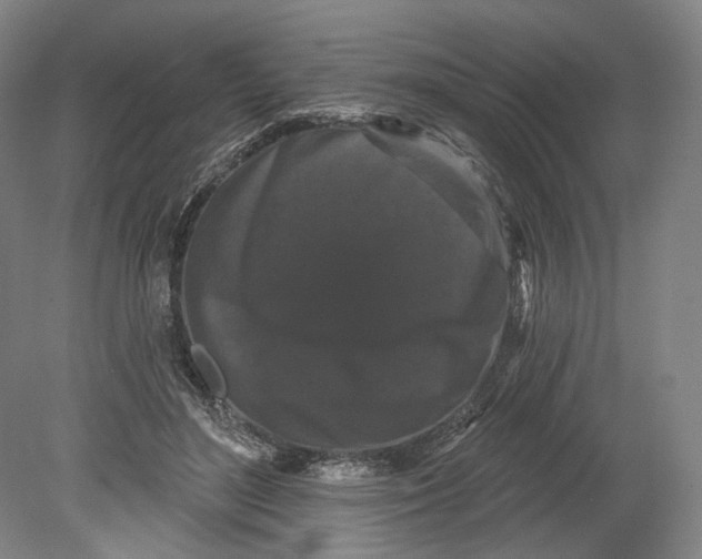 X0000080770500200701051305