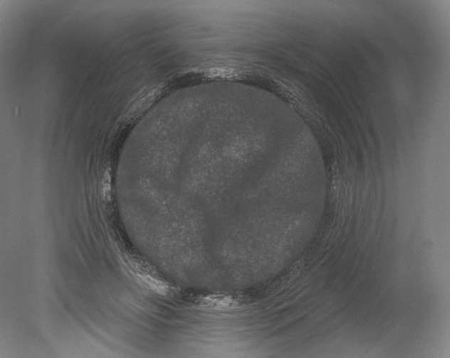 X0000080770502200701051305