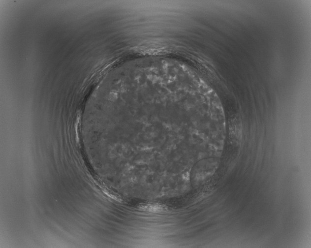 X0000080770503200701051305