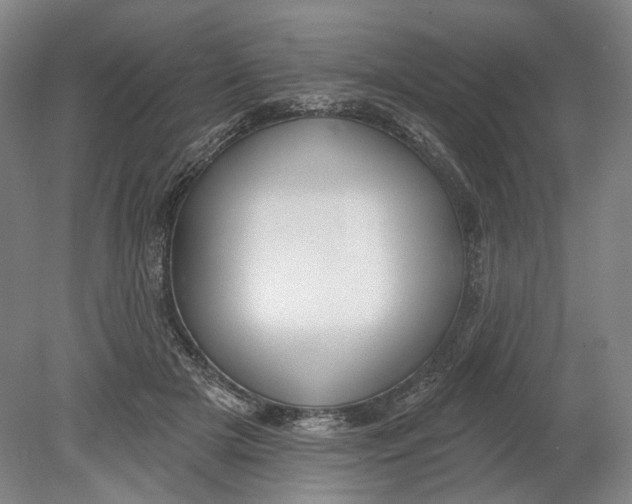 X0000080770505200701051305