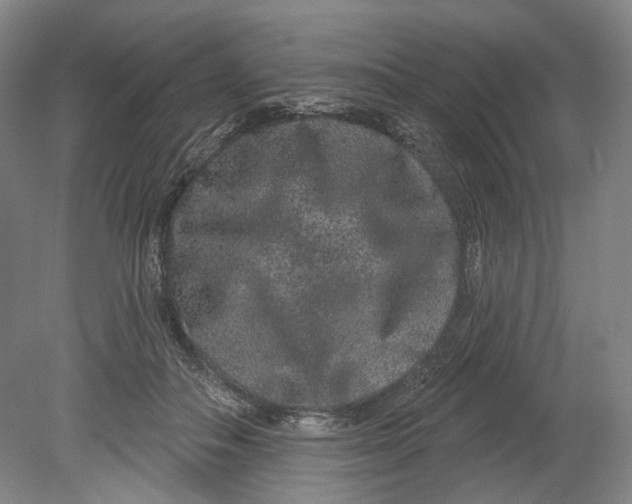 X0000080770506200701051305